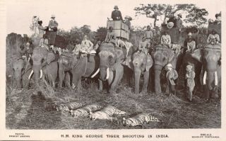 India 1911 Delhi Durbar Tour King George Tiger Shooting On Elephant Photo Card