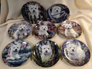 The Danbury West Highland Terriers 8 " Plates By Paul Doyle - Full Set Of 8
