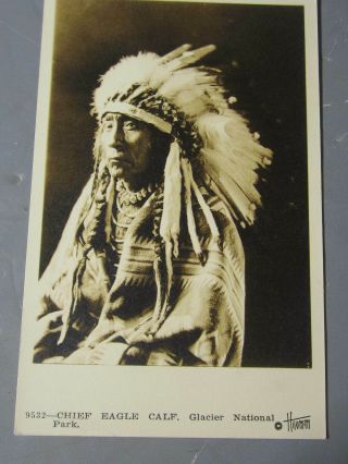 Rppc Indian Chief Eagle Calf Glacier National Park Real Photo Postcard