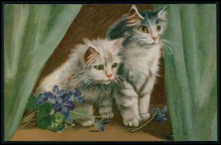 Art Maurice Boulanger Cat Pair And Viola Flower 1900s Litho Postcard