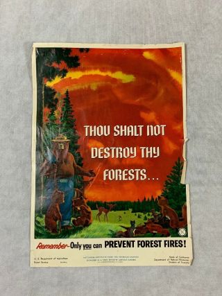 1957 Smokey The Bear Forest Service Poster Vintage Americana California