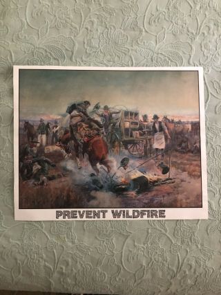 Smokey Bear Prevent Wildfire Poster/history Of Smokey Bear On Back,  Clovis,  Ca