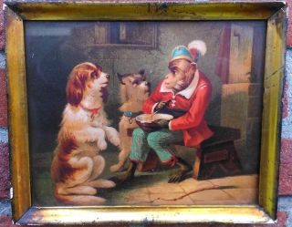 Great,  Small,  Vintage Print In Wooden Frame,  Gilded,  Circus,  Fairground,  Monkey Dogs