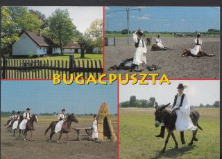 Hungary Postcard - Greetings From Bugacpuszta B2631