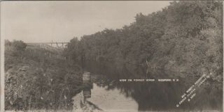 (n450) Vintage Postcard,  Rppc,  Forest River,  Medford North Dakota