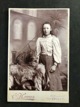 Victorian Photo Cabinet Card: Young Lady Live Cat: Unusual Backdrop Harris Dover