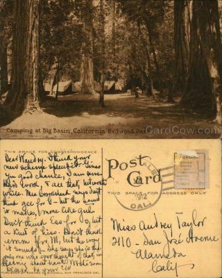 1912 Santa Cruz,  Ca Camping At Big Basin,  California Redwood Park Mitchell Vintage