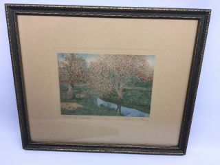 Vintage Wallace Nutting “ Meeting Branches “ 11” X 13”