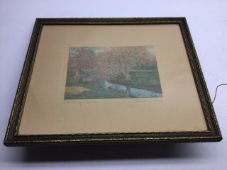 Vintage Wallace Nutting “ Meeting Branches “ 11” X 13” 7