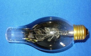 Aerolux Vintage Light Bulb Electric Flowers Love You Antique Filament Light Old