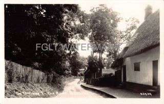 C1920 Real Photo Postcard On The Way To The River Beane Walkern Herts Village