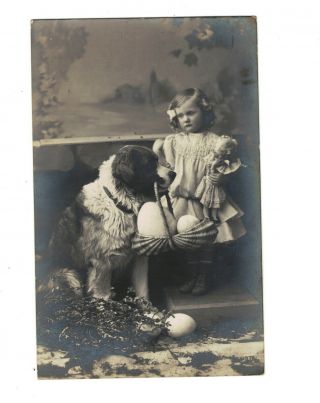 Mc3157 Victorian Girl With Doll And Her Big St.  Bernard Dog With Basket With Eggs
