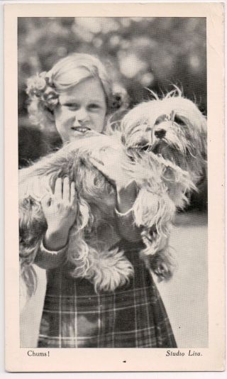 Vintage Postcard Queen Beatrix Of The Netherlands