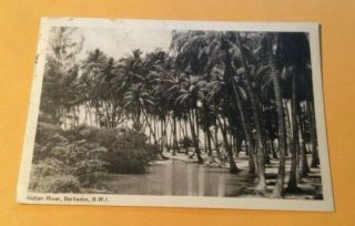 Vintage Postcard Indian River,  Barbados,  B.  W.  I Tied British Stamps 618