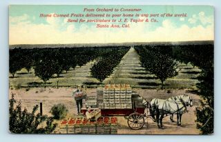 Santa Ana,  Ca - Je Taylor Canned Fruits & Delivery Wagon Advertising Postcard