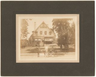 1880s Cabinet Card Of Boy & Dog On Horse Drawn Shaded Buggy In Germantown Ohio