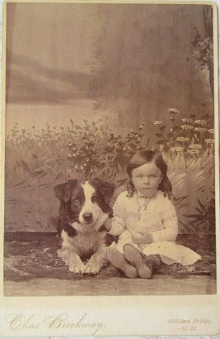 Antique Cabinet Photo Young Child With Collie Dog Chas Brockway Hampshire
