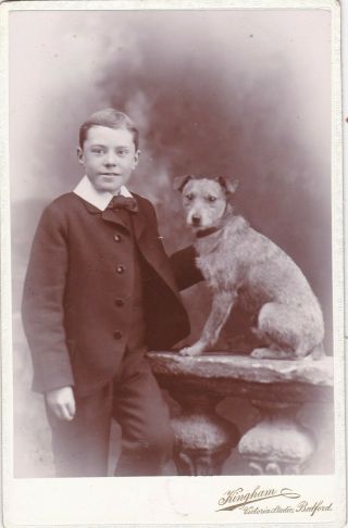Antique Cabinet Photo - Lovely Image Of Youth With Dog.  Bedford Studio