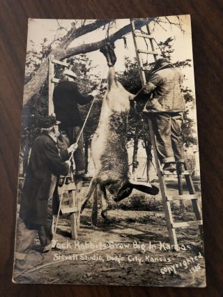 1930s Photo Postcard - Exaggerated - - Jack Rabbits Grow Big In Kansas Men Hanging Up