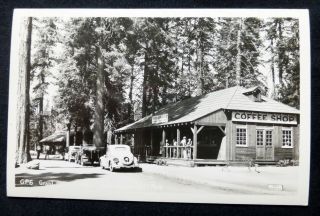 Rppc Kings Canyon National Park,  Coffee Shop,  Old Cars,  Circa 1940 