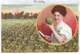 Vintage Postcard H.  W.  Buckbee - Seed Farm Rockford Greenhouses 36