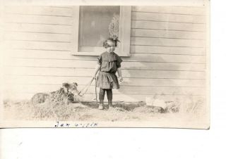 Rppc Cute Girl Walking Dog Cat In A Wagon 1914 Outdoors Pets 496