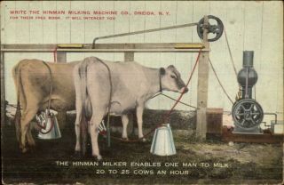 Agriculture Hinman Cow Milking Machine Technology Industry Oneida Ny Pc