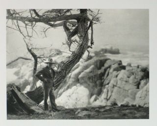 Sir Winston Churchill With Cypress Tree 17 - Mile Drive Pebble Beach Photo Print