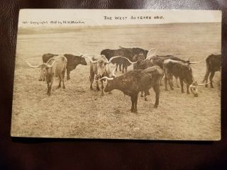 Old West Texas Longhorns Post Card 1909 Wh Martin W/.  01 Green Franklin Stamp