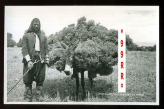 1960s Cyprus Cypriot Villager & Mule Real Photo Rppc Rural Scene Agriculture