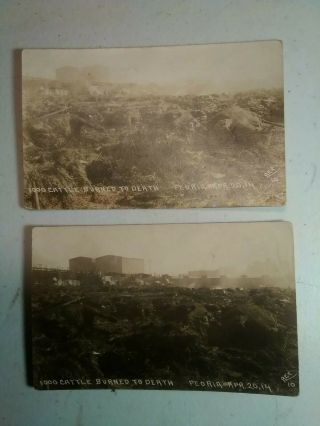 2 Old Real Photo Postcard 1000 Cattle Burned To Death 1914 Peoria Illinois