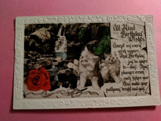 Vintage Cat Postcard.  Rppc.  2 White Kittens.  Birthday.  Postmarked 1909.