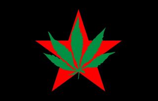 Yippie Flag,  Abbie Hoffman,  Jerry Rubin Youth International Party Marijuana 50th