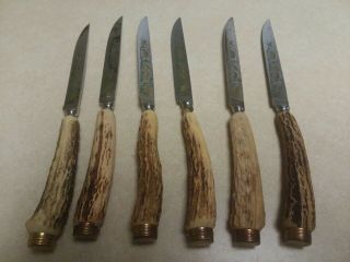 Vtg.  Anton Wingen Jr.  Solingen Germany Stag Handle Set Of 6 Edged Steak Knives