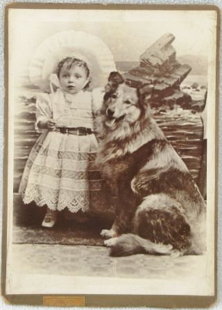Cabinet Card Child & Border Collie Dog Victorian Antique Photo Hat