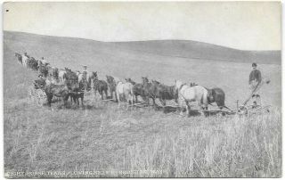 Eight Horse Teams Plowing,  Harrington,  Wa Vintage Postcard 1280 Acres Pub R&s Co