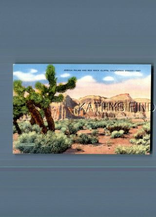 California Postcard T_3392 Joshua Palms And Red Rock Cliffs In Desert