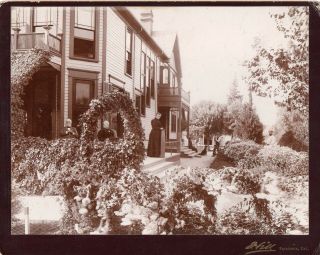 61987 Ca 1895 Albumen Photo Family Home & Gardens Pasadena Ca Ivy Arbor