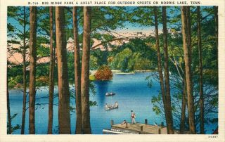Norris Lake Tn Big Ridge Park Great Place For Outdoor Sports Postcard C1940
