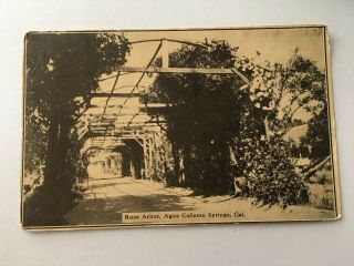 Vintage Postcard Posted 1916 B&w Rose Arbor Agua Caliente Springs Ca California