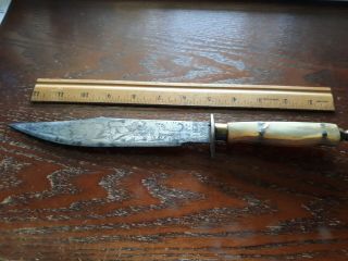 Antique Vintage Custom Bowie Fixed Blade Knife Horn Handle Engraved Blade 2 Side