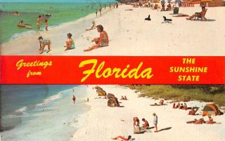 C20 - 6341,  The Sunshine State,  Greetings,  Beach,  Florida.