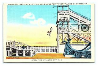 Vintage Postcard Diving Horses Steel Pier Atlantic City Jersey I9
