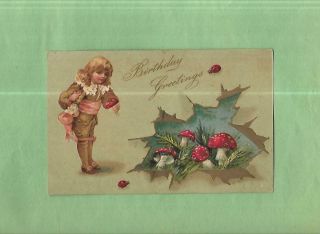 Adorable Boy,  Toadstools,  Lady Bugs On Colorful Vintage Birthday Postcard