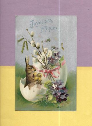 Bunny,  Chick Hatch From Egg,  Pussy Willows On Wonderful Vintage Easter Postcard