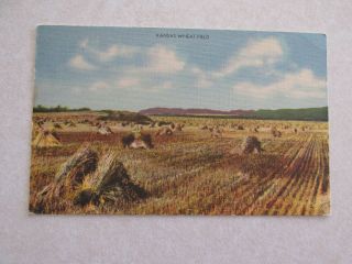 E181 Postcard Kansas Ks Wheat Field Farm Scene