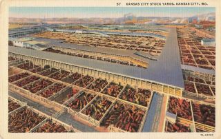 Postcard Kansas City Stock Yards Missouri