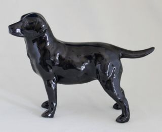 Royal Doulton Black Labrador Retriever Dog No.  HN 2667 - Retired 2
