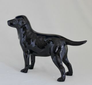 Royal Doulton Black Labrador Retriever Dog No.  HN 2667 - Retired 3