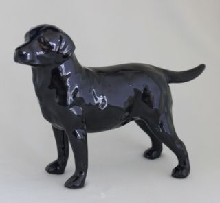 Royal Doulton Black Labrador Retriever Dog No.  HN 2667 - Retired 4